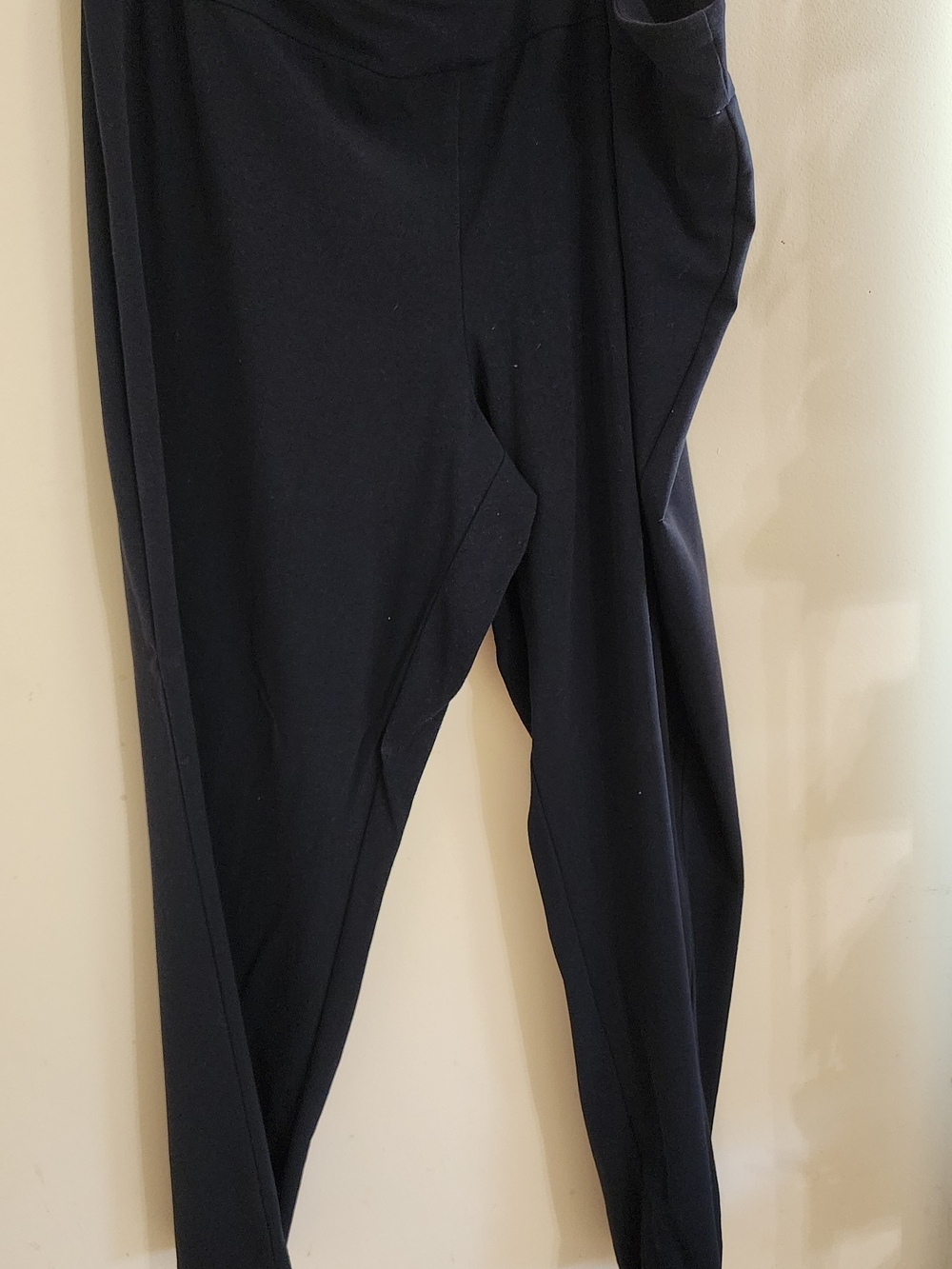 Dress Barn Navy Blue Pull-On Pants - Size 20